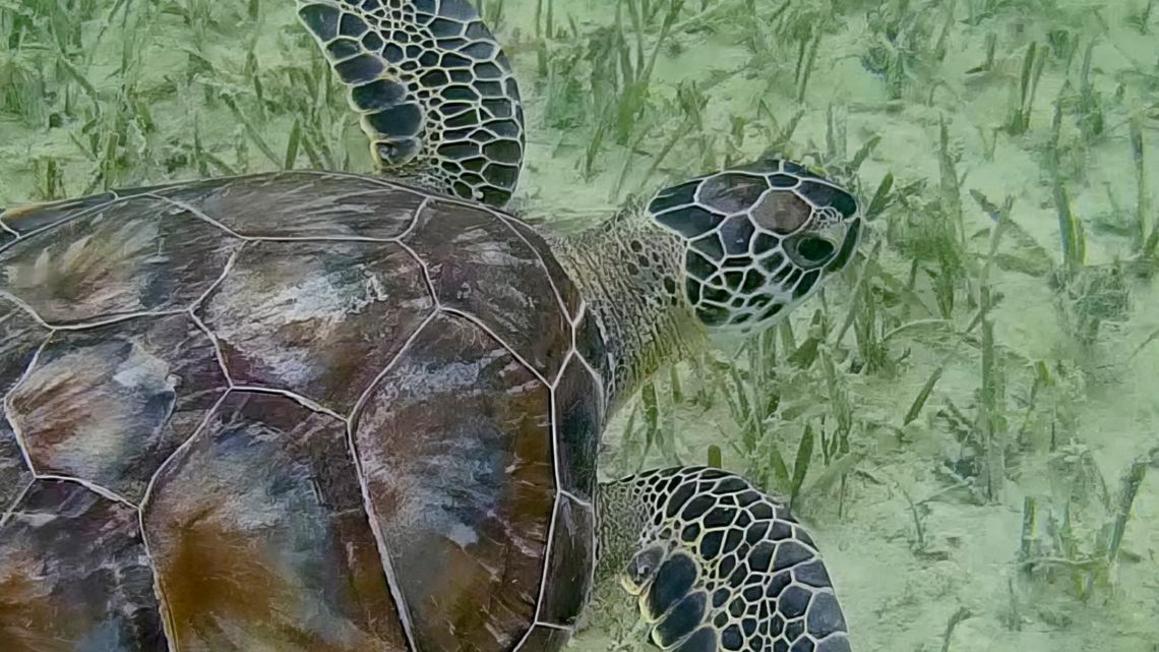 f6c29dea 1d5c 40b3 acd6