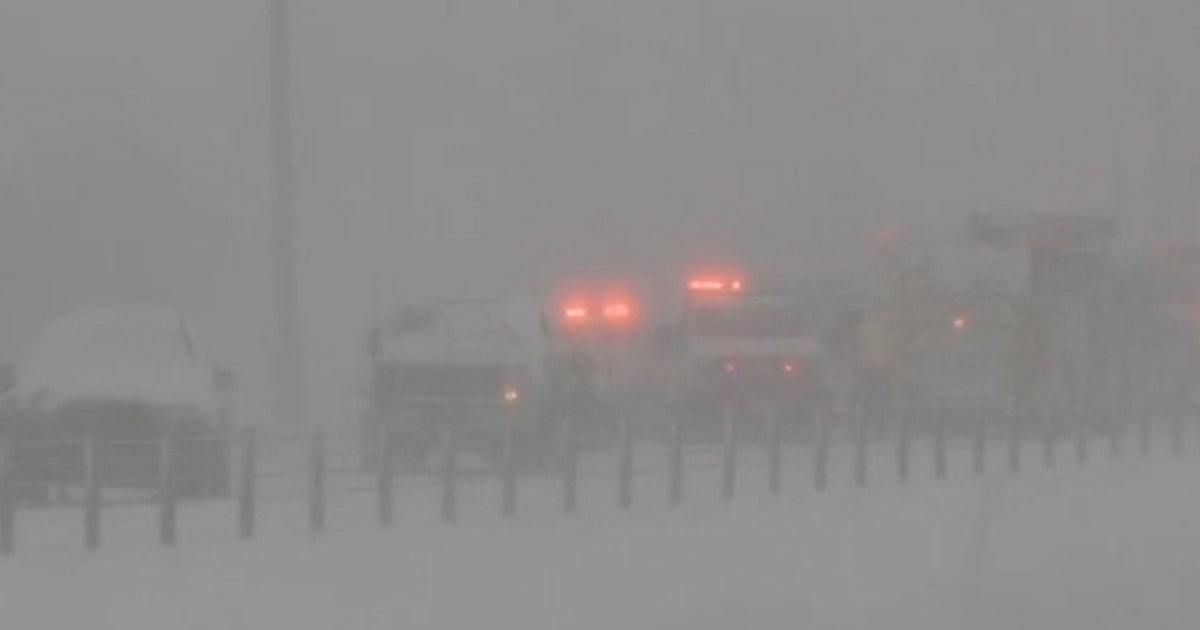 f vert brk weather iguanas 260116 c8vu3t