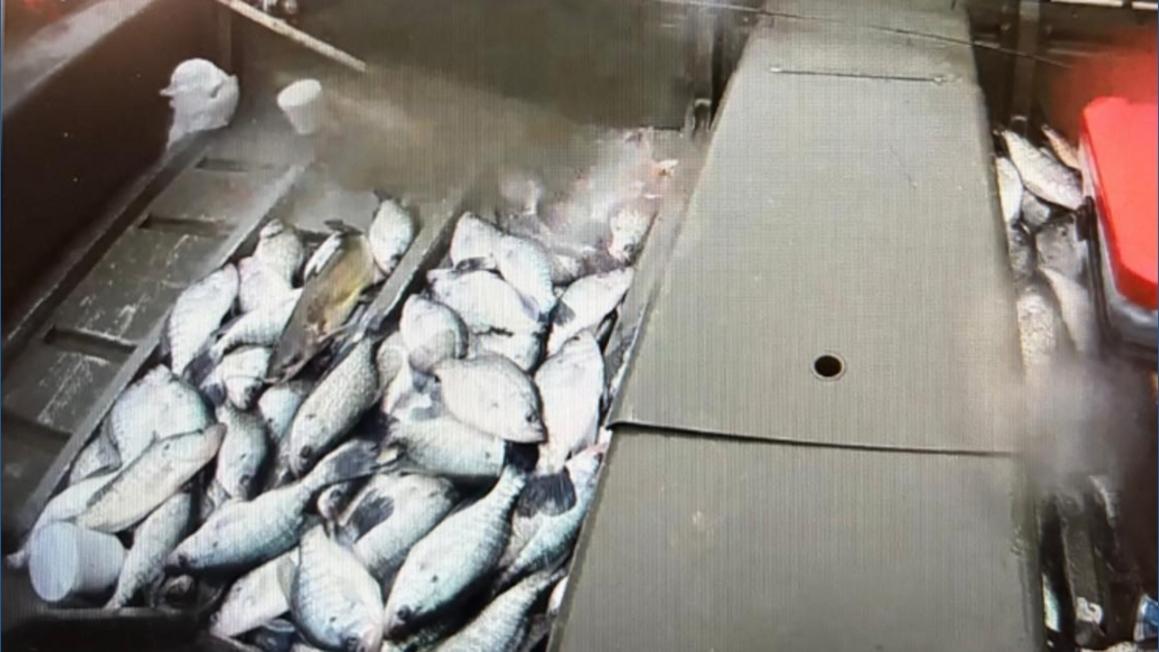 fd672802 db10 42a3 9692