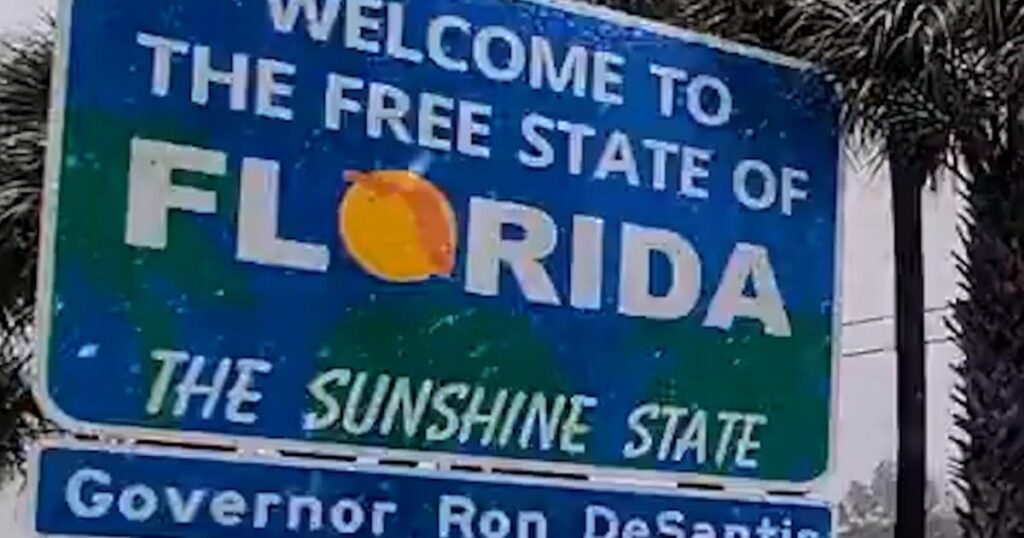 Video ghi lại cảnh tuyết rơi hiếm hoi ở Florida