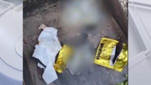 Cư dân Larchmont than phiền về hoạt động mại dâm đêm gần nhà