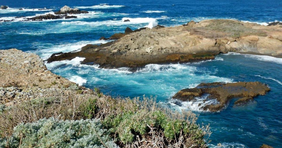 gettyimages 2171220840