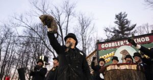 Groundhog Day 2026: Khi nào Punxsutawney Phil xuất hiện? 8 Groundhog Day 2026: Khi nào Punxsutawney Phil xuất hiện?