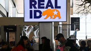 DMV California Sửa Lỗi Giấy REAL ID, 325,000 Người Dân Bị Ảnh Hưởng