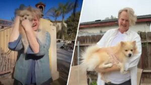 Chó cưng Oreo và luật mới về cứu hộ động vật sau hỏa hoạn ở California 34 Chó cưng Oreo và luật mới về cứu hộ động vật sau hỏa hoạn ở California