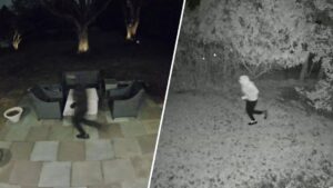 Nhiều xe bị đột nhập ở Newtown Square, cảnh sát vào cuộc