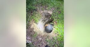 Người đàn ông bị mắc kẹt trong cống rãnh ở Harris County được giải cứu