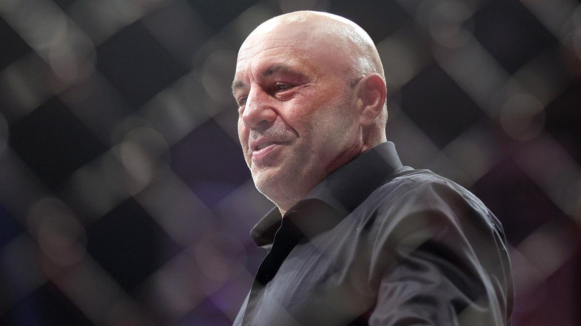 Rogan bênh vực các cuộc đột kích của ICE, đổ lỗi cho đảng Dân Chủ 1 joe rogan ufc fight