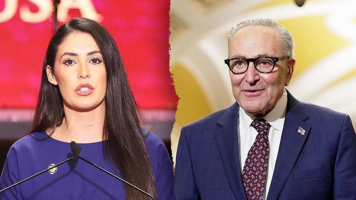 Phe phái bảo thủ Hạ viện đe dọa kéo dài lệnh đóng cửa chính phủ vì vấn đề an toàn bầu cử 1 luna schumer split