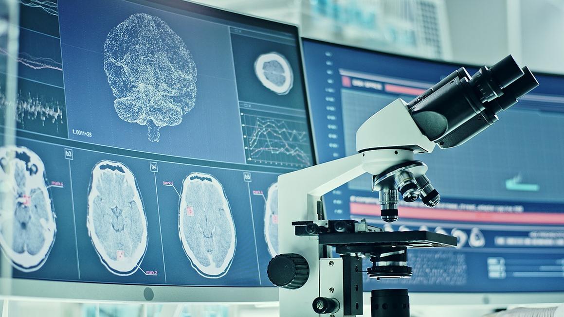 microscope brain scan
