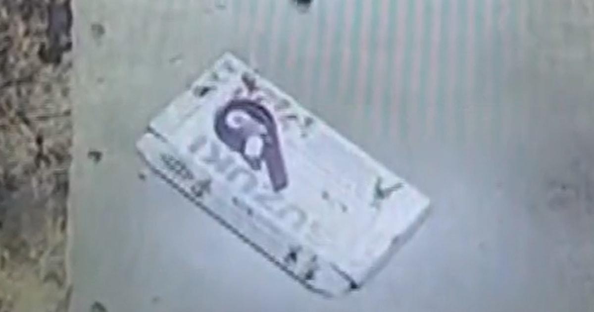 Khỉ quậy phá trong cửa hàng nhạc 1 monkey z7ta2p