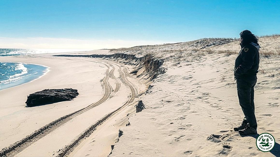 nj schooner emerges from jersey shore sands discovery archaeology history 3