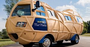 Tuyển Lái Xe NUTMOBILE Cho Hãng Planters