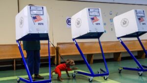 Tiểu bang New York xem xét dời ngày bầu cử sơ bộ để tăng 'ảnh hưởng' 7 Tiểu bang New York xem xét dời ngày bầu cử sơ bộ để tăng ‘ảnh hưởng’