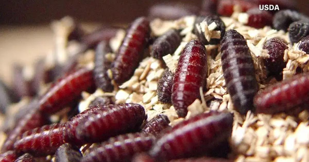 screenshot 2025 09 24 164430