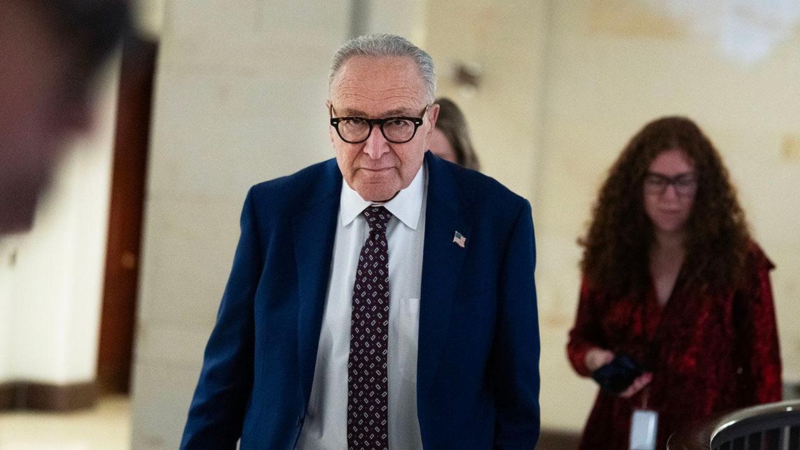 senate minority leader chuck schumer dhs