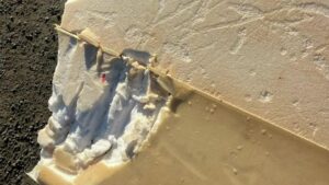 Người lướt ván bị cá mập tấn công ở California, ván lướt gãy làm đôi