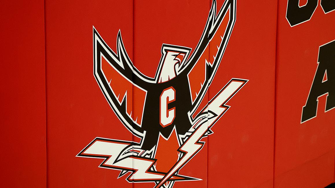 t birds logo
