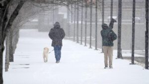 Bão Mùa Đông: Ít Nhất 20 Tiểu Bang Tuyên Bố Tình Trạng Khẩn Cấp