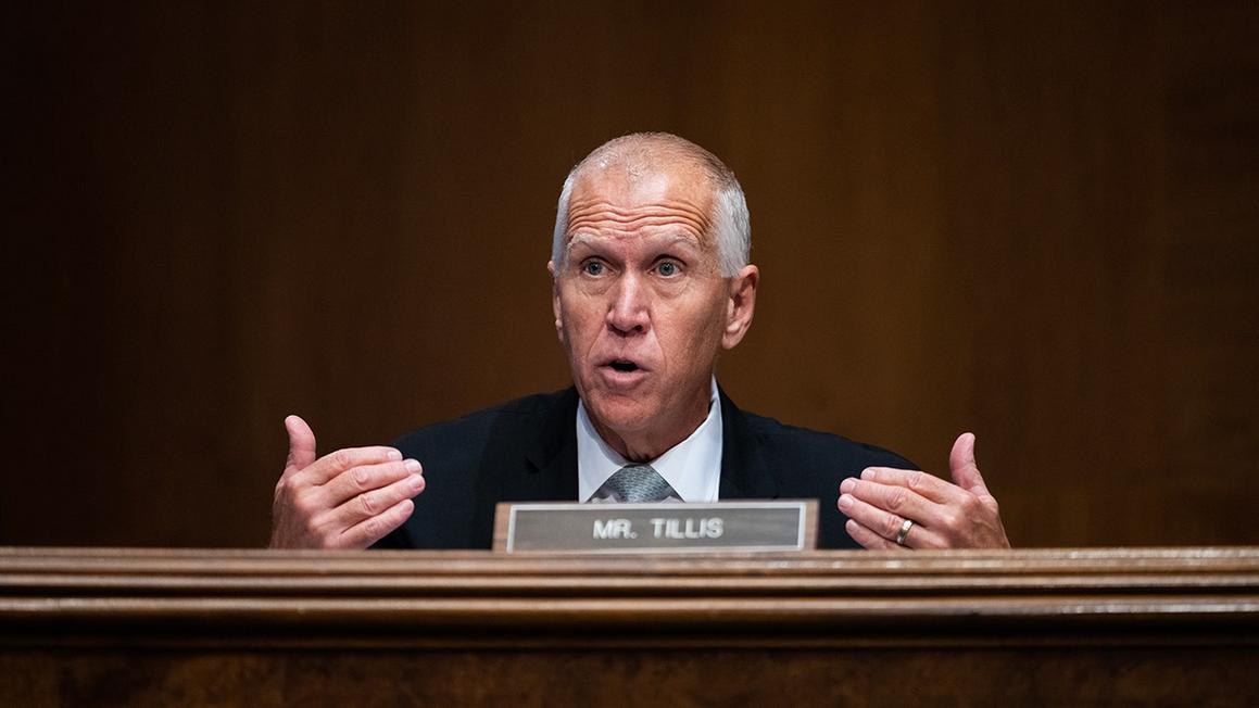 thom tillis senate hearing
