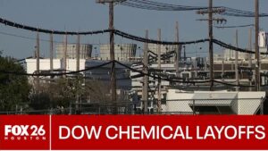 Dow Chemical thông báo sa thải gần 5.000 nhân viên, gây lo ngại tại khu vực Greater Houston