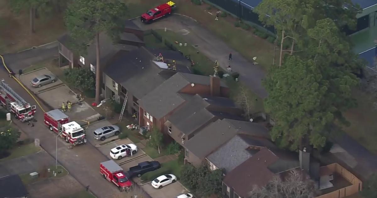 vlcsnap 2026 01 13 16h17m49s243