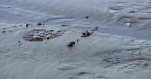 Chân và Giày: Sự Thật Về Bí Ẩn Lan Truyền Trên Mạng Xã Hội