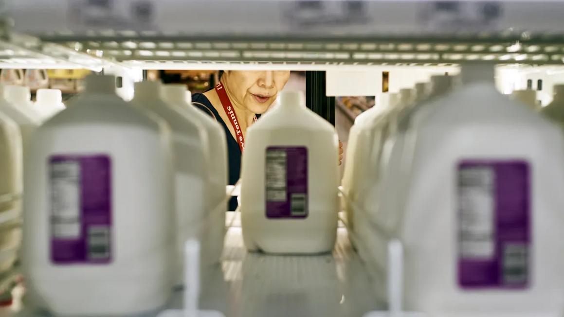 wegmans shopper getting milk