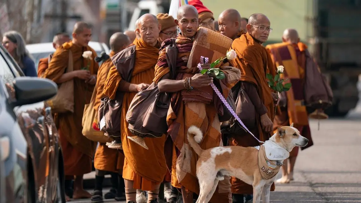Các nhà sư Phật giáo cùng chú chó cưng &#8216;gây sốt&#8217; nước Mỹ trong hành trình vì hòa bình