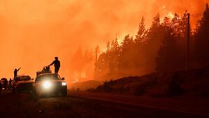 Cháy rừng ở Argentina tàn phá gần 12,000 hecta rừng 18 Cháy rừng ở Argentina tàn phá gần 12,000 hecta rừng