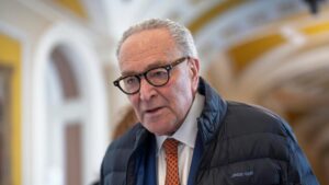 Nguy cơ đóng cửa chính phủ một phần gia tăng khi Dân chủ yêu cầu thay đổi lớn đối với ICE