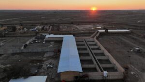 Iraq sẽ xét xử các tay súng IS được chuyển từ Syria 9 Iraq sẽ xét xử các tay súng IS được chuyển từ Syria