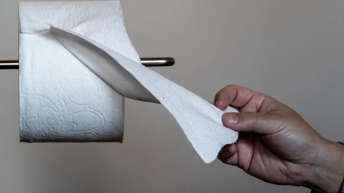 Giấy vệ sinh thân thiện môi trường: Xu hướng và tác động