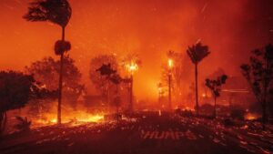 Những con số kinh hoàng về thảm họa cháy rừng Los Angeles một năm sau