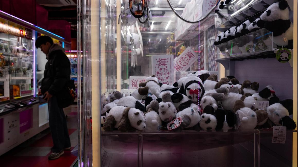 Hai chú gấu trúc cuối cùng tại Nhật Bản sẽ trở về Trung Quốc khi quan hệ song phương căng thẳng 1