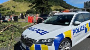 Sạt lở đất ở New Zealand: Nhiều người mất tích