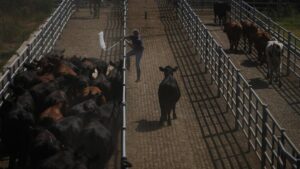 Liên minh châu Âu và Mercosur tiến gần đến thỏa thuận thương mại tự do 14 Liên minh châu Âu và Mercosur tiến gần đến thỏa thuận thương mại tự do