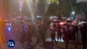 Nhân viên TSA bị nhầm là đặc vụ ICE, gây ra cuộc biểu tình tại Lynwood 15 Nhân viên TSA bị nhầm là đặc vụ ICE, gây ra cuộc biểu tình tại Lynwood