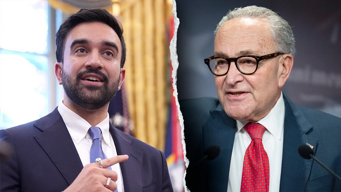 zohran mamdani chuck schumer