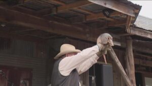 Linh vật “Bob Ếch” ở Texas dự đoán ngày hết đông