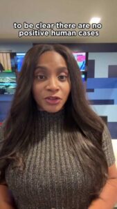 Thời tiết lạnh giá gần đây sẽ không kết thúc mùa muỗi ở Quận Harris