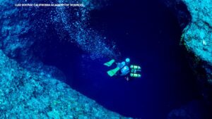 Đội ngũ Viện Hàn lâm Khoa học California phát hiện tình trạng ấm lên của đại dương lan sâu hơn dự kiến