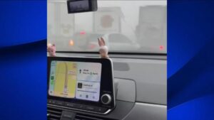 Video ghi lại cảnh hỗn loạn trong vụ va chạm 59 xe trên Xa lộ 99 ở Trung California