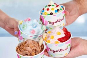 Yogurtland Sẽ Khai Trương Địa Điểm Mới Tại Flower Mound