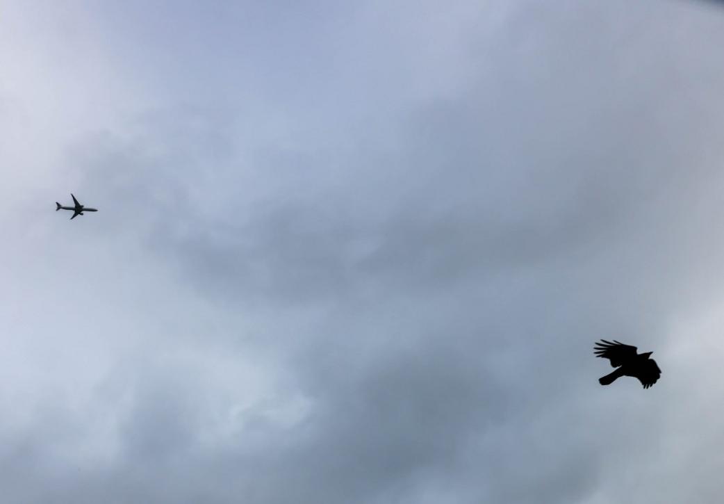 EBT L CLOCLOUDY 0306 2