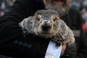 Truyền thống Ngày Groundhog: Punxsutawney Phil dự báo thêm 6 tuần mùa đông