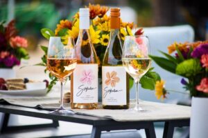 Bí quyết kết hợp rượu và sô cô la cho Ngày Lễ Tình Nhân 15 Bí quyết kết hợp rượu và sô cô la cho Ngày Lễ Tình Nhân