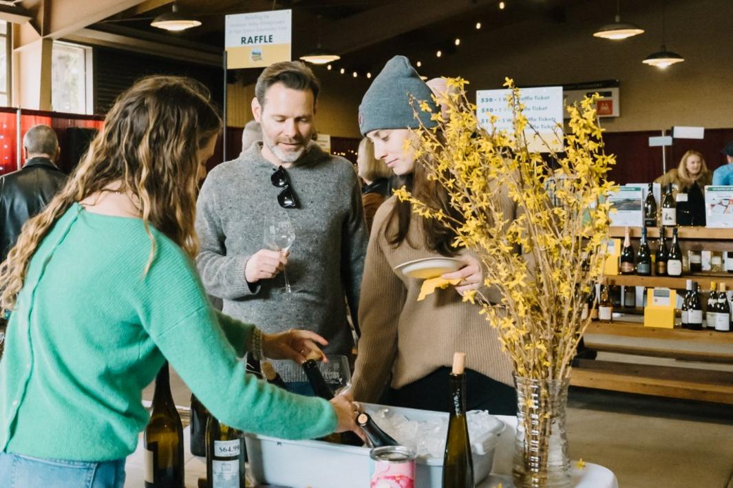 TPD L ANDERSONVALLEY 01