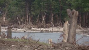 Ba tổ chức phi lợi nhuận nhận tài trợ phục hồi lũ lụt ở Texas