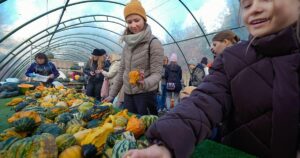 Thời Gian Trồng Rau Tại Texas Năm 2026: Hướng Dẫn Ngày Sương Giá và Vùng Khí Hậu 34 Thời Gian Trồng Rau Tại Texas Năm 2026: Hướng Dẫn Ngày Sương Giá và Vùng Khí Hậu